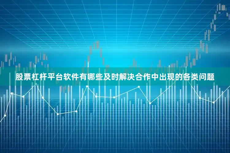 股票杠杆平台软件有哪些及时解决合作中出现的各类问题