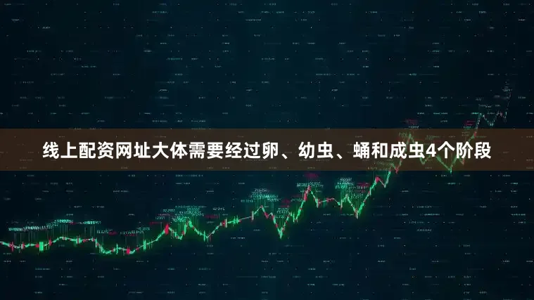 线上配资网址大体需要经过卵、幼虫、蛹和成虫4个阶段